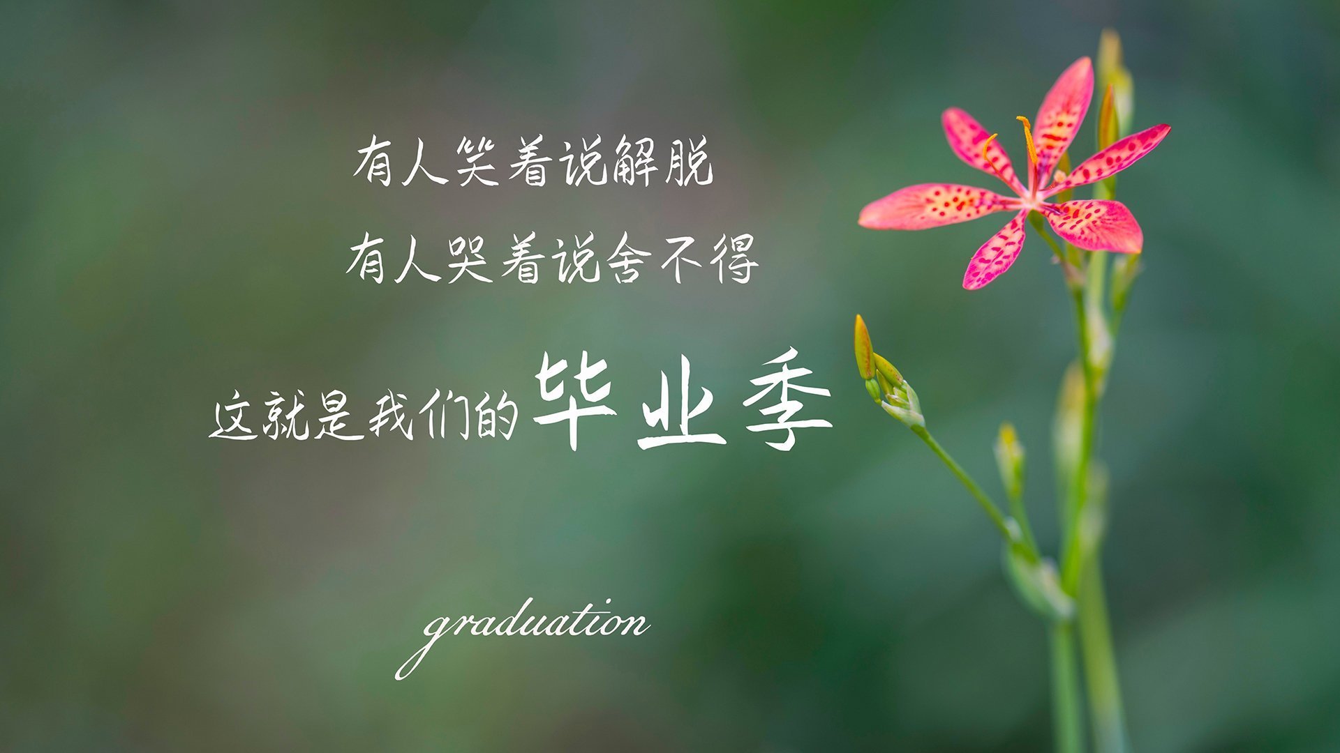 真丝面料分几种类型图片(真丝面料分类及图解)